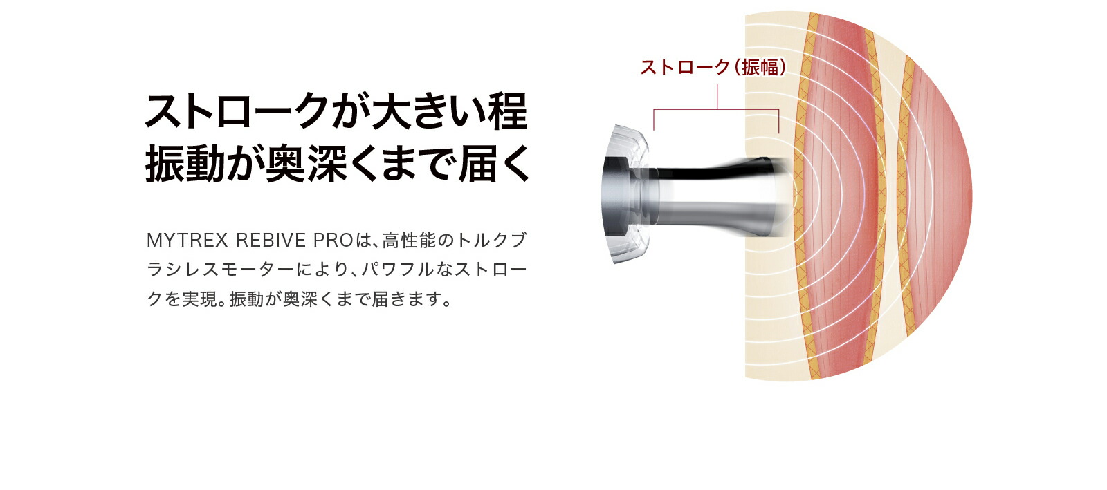 p_rp011a2.jpg